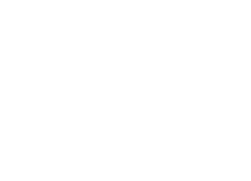 Bideodromo Film Festival